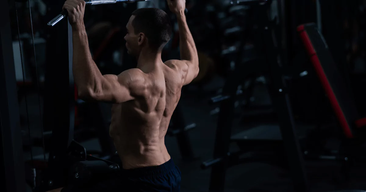 Best Bicep Exercises to Build Muscle