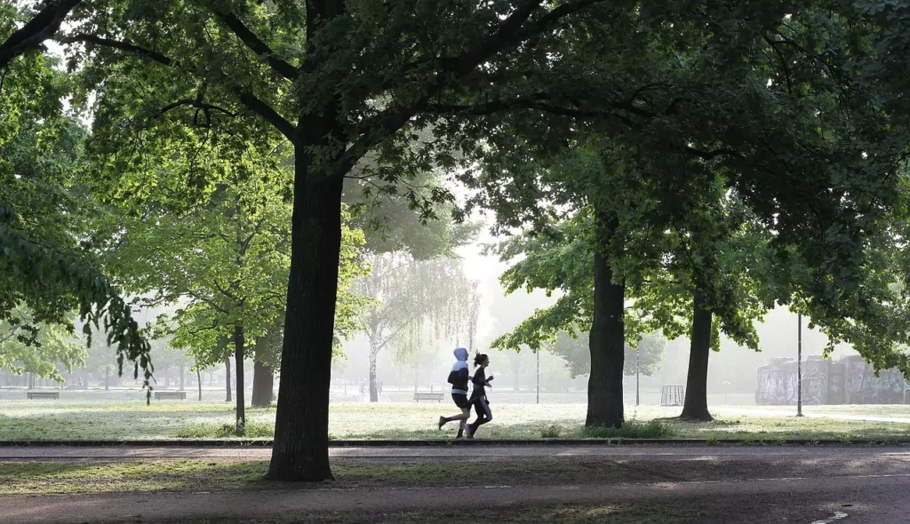 Brisk Walking for weight loss