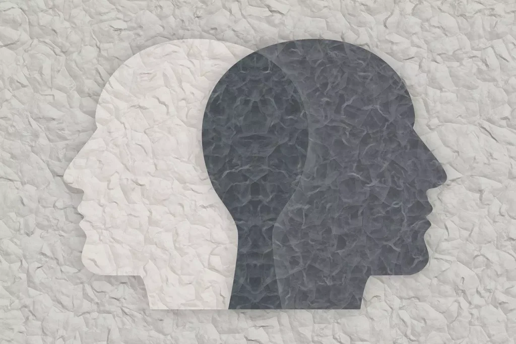 Bipolar Disorder And Daily Life guide