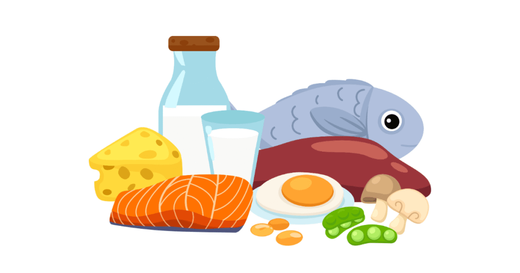 Best Calcium-Rich Foods