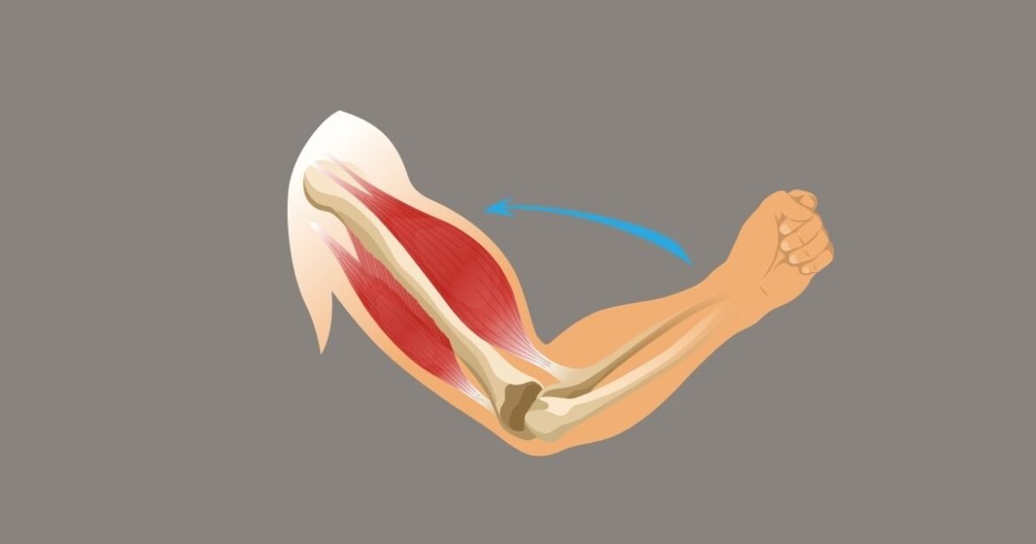 Best Tricep Exercises