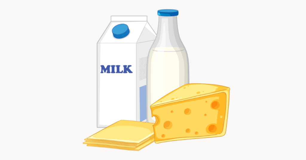High-Calorie Dairy Foods