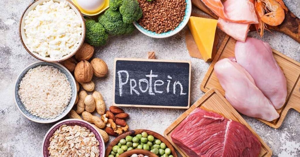 foods high in protein